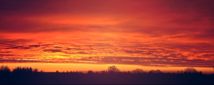 Red sunset clouds over trees.