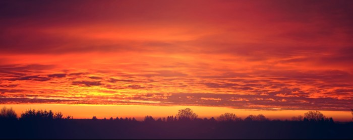 Red sunset clouds over trees.
