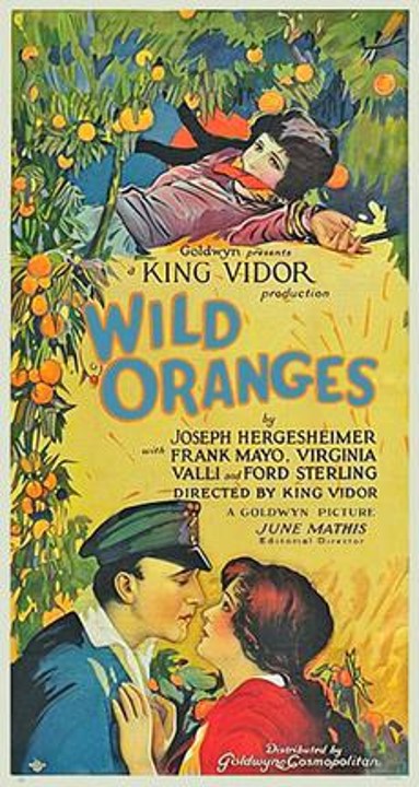 Wild Oranges poster